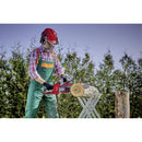 Motosierra inalambrica 18V Expert sin bateria PXC 300mm FORTEXXA 18/30 - Einhell
