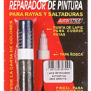 Reparador De Pintura Para Auto Con Pasta Pulir