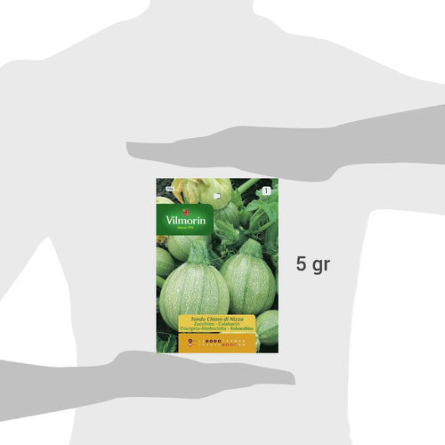 Semilla Zapallo Italiano Redo 5 Gr Sachet
