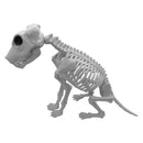 Esqueleto Perro 51 X 17 Cm Big Party