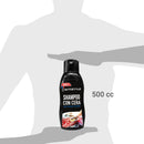 Shampoo Para Auto Autostyle 500 Ml Limpieza Y Brillo