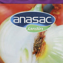 Semilla Cebolla 5 Gr Sachet