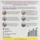 Semilla Cebolla 5 Gr Sachet