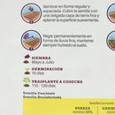Semilla Cebolla 5 Gr Sachet