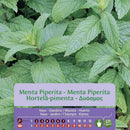 Semilla Menta Piperita 0.3 Gr Sachet