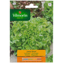 Semilla Lechuga Salad 3 Gr Sachet