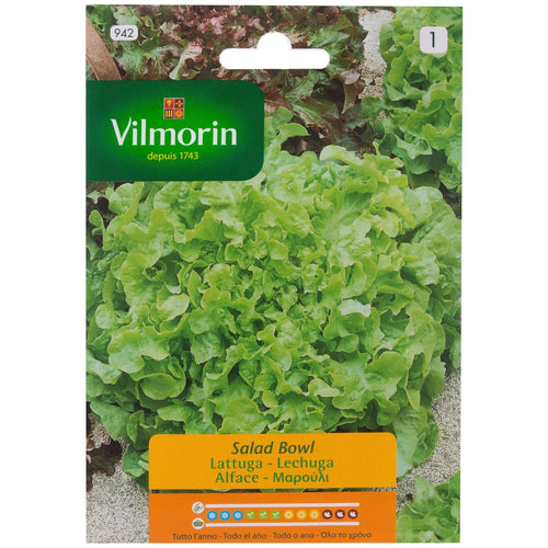 Semilla Lechuga Salad 3 Gr Sachet