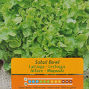 Semilla Lechuga Salad 3 Gr Sachet