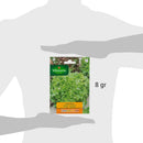Semilla Lechuga Salad 3 Gr Sachet