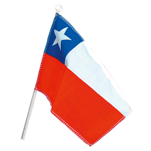 Bandera Decorativa Genero Con Varilla Plastica 20X30 Cms Big Party