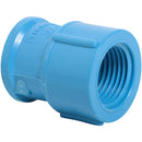 Terminal Pvc-P Cem/Hi 20Mm X 1/2" 1U