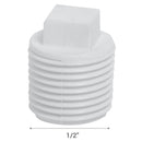 Tapa Tornillo Pvc-P He 1/2" 1U