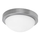 Plafon 25 Cm 60 W. Plata