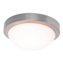 Plafon 25 Cm 60 W. Plata