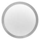 Plafon 25 Cm 60 W. Plata
