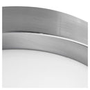 Plafon 25 Cm 60 W. Plata