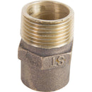 Terminal Bronce So-He 3/4" 1U