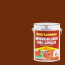 Impermeabilizante Para Ladrillos Lata 1 Galon(Es) Brillante Rojo Ladrillo