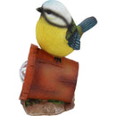 Pajaro Solar Multicolor 17X13 Cm
