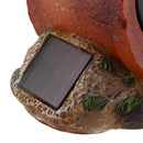 Pajaro Solar Multicolor 17X13 Cm