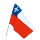 Bandera Decorativa Genero Con Varilla Plastica 16X24 Cms Big Party