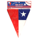 Banderin Decorativo Dieciochero Plastico 22X29 Cm Big Party