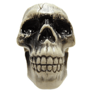 Cabeza Calavera Big Party