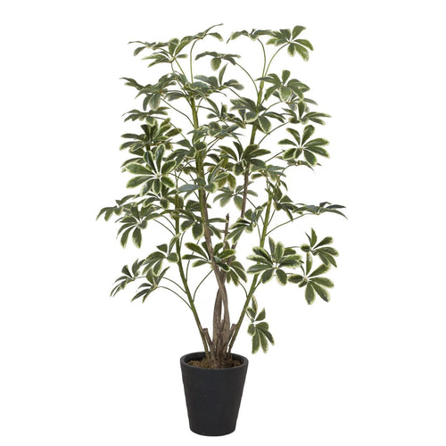 Planta Artificial Schefflera 172 Cm Verde