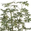 Planta Artificial Schefflera 172 Cm Verde