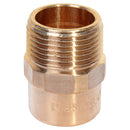 Terminal Bronce So/He 3/4" 1U