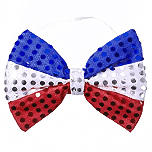 Corbatin 13 x 8 Cm Fiestas Patrias Big Party