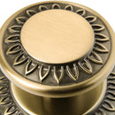 Perillon Romano 433Bt