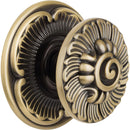 Perillon Greco 463Bt