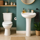 Sala New Express 20Cm