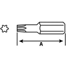 Punta Torx T20 X 50 Mm 1Unidad