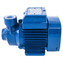 Electrobomba Periferica 0,5 Hp 40 L/Min