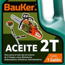 Aceite Motor 2 Tiempos - 3,8L