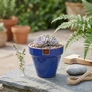 Macetero Kony De Arcilla 8X7 Cm Azul Imperial