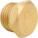 Tapa Tornillo Bronce He Npt 1/2" 1U