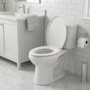 Asiento Elongado Plastico One Piece
