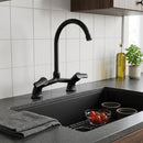 Combinacion Lavaplatos Bogen Negro