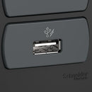 Placa Miluz Armada Con Doble Tomacorriente + 1 Usb Grafito