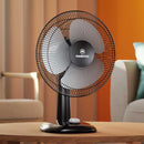 Ventilador De Sobremesa Dfm12