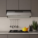Campana Convencional 60 Cm Acero Ff 60