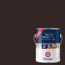 Oleo Profesional 1 Galon(Es) Brillante Cafe Moro