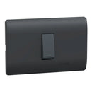 Placa Genesis Armada Con Pulsador 16A 250V - Black