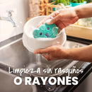 Esponja Mascota 1 Unidad
