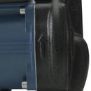 Bomba Presurizadora 123 W