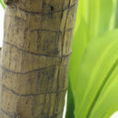 Planta Artificial Dracenea 91 Cm Verde