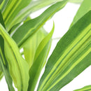 Planta Artificial Dracenea 91 Cm Verde